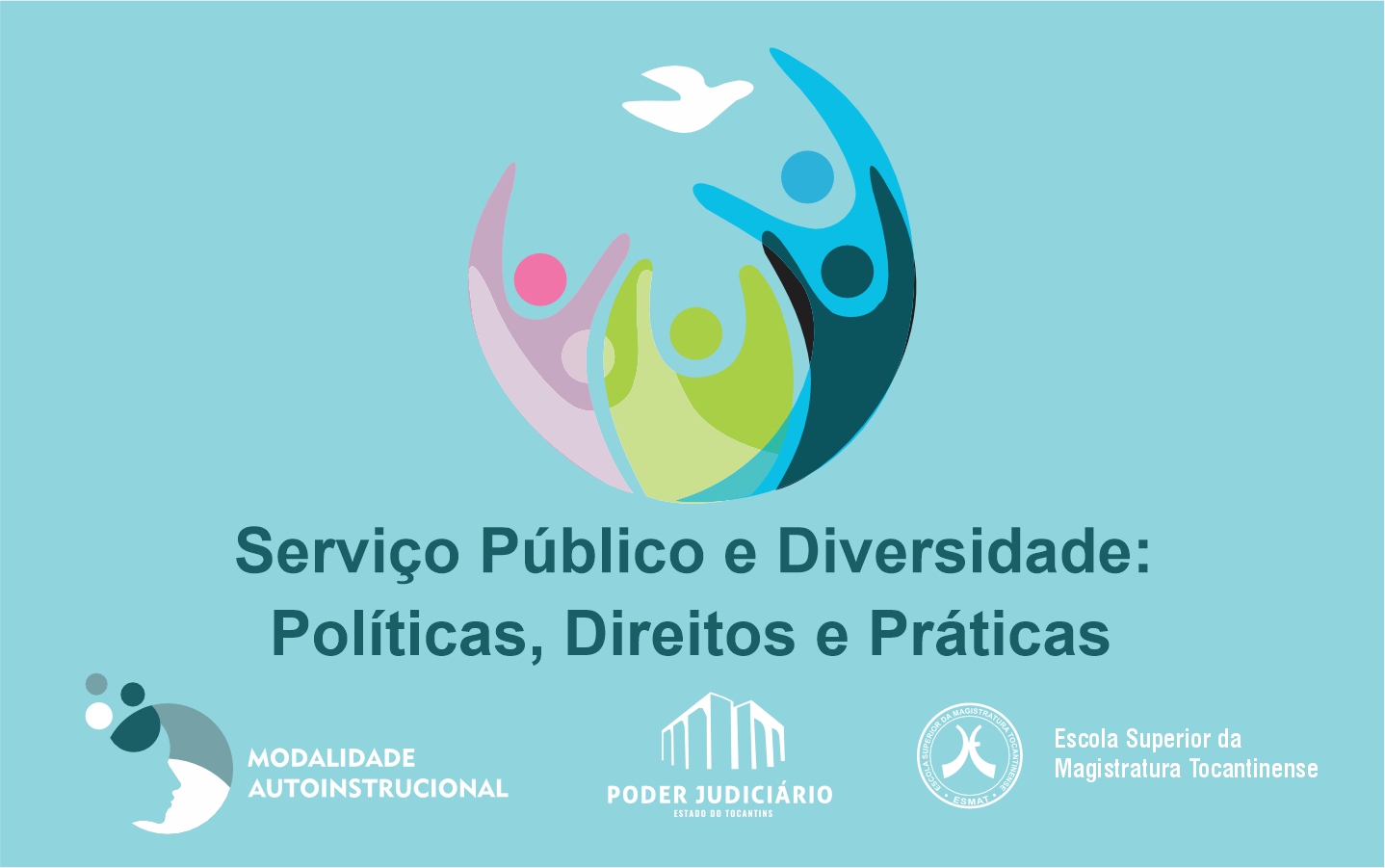 SERVIÇO PÚBLICO E DIVERSIDADE: POLÍTICAS, DIREITOS E PRÁTICAS