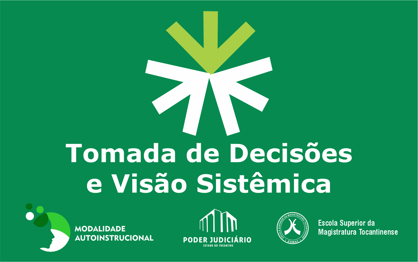 TOMADA DE DECISÕES E VISÃO SISTÊMICA
