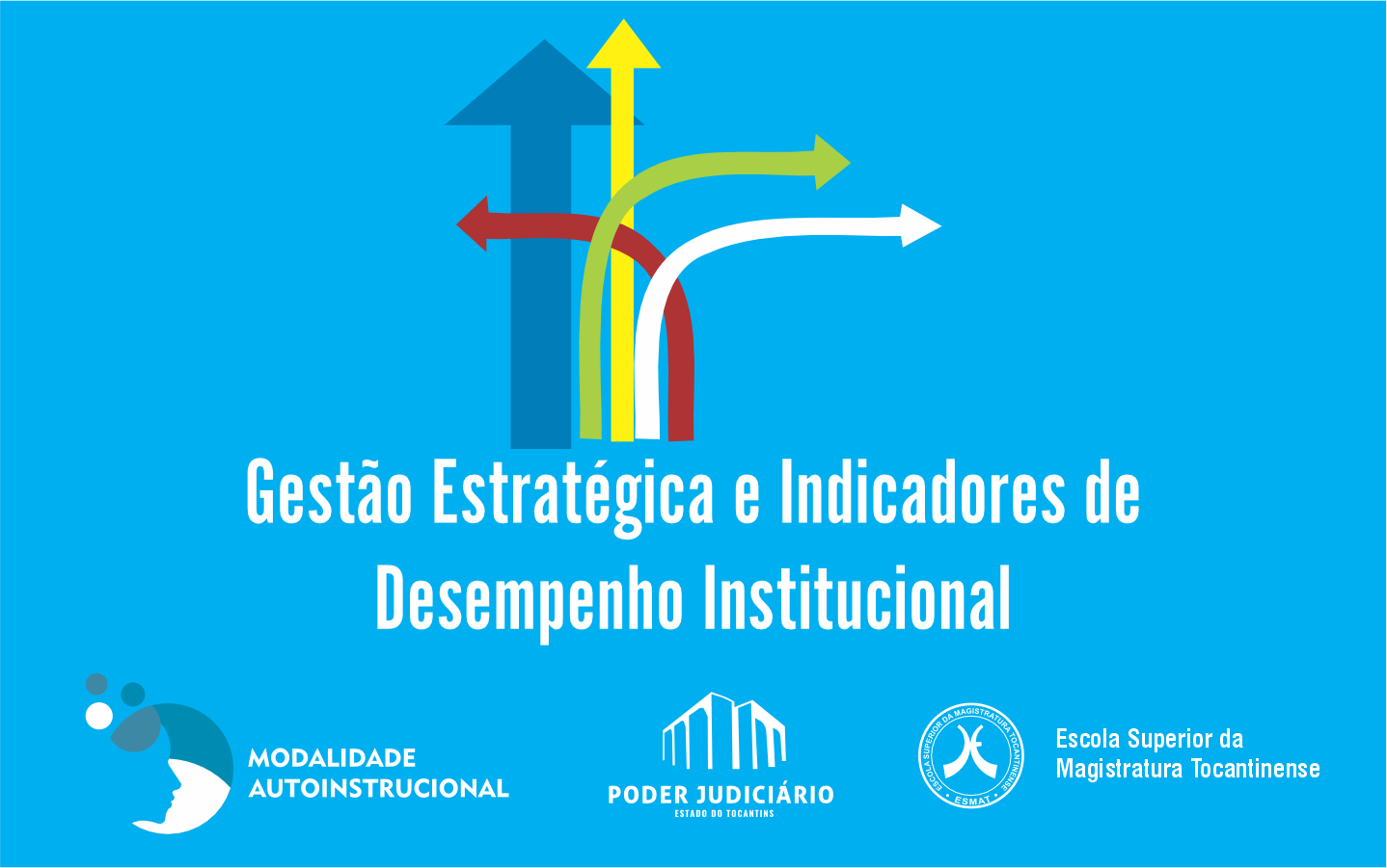 GESTÃO ESTRATÉGICA E INDICADORES DE DESEMPENHO INSTITUCIONAL