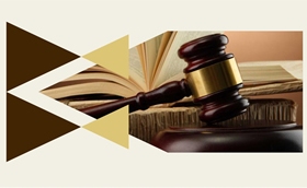 Teoria, Prática e Perpectivas da Execução Penal